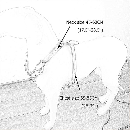 Miniatura 8 de Juego de arnés y collar de cuero para perro, adecuado para razas grandes, Bull Terriers, Dobermans, arnés de cuero duradero con tachuelas de metal y