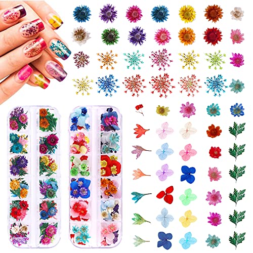 216Pcs Dried Flowers Nail Art - Nail Art Accessories Kits, 57 Color Lovely Natural Flower Nail Art, Dried Flowers For Resin Molds, Dry Flowers For Nails, Ywli #TOP27