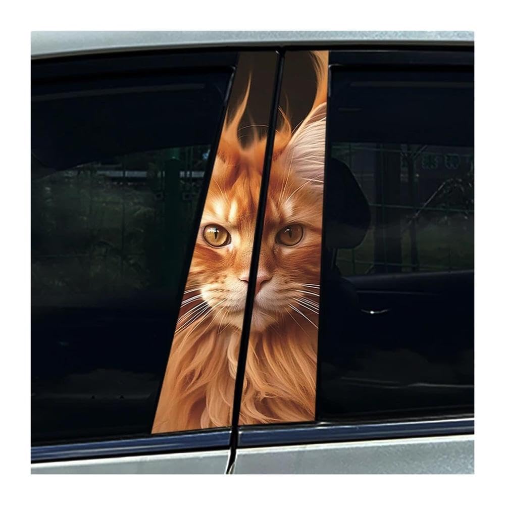 Autocollants chat Maine Coon imperméables pour pilier B de voiture