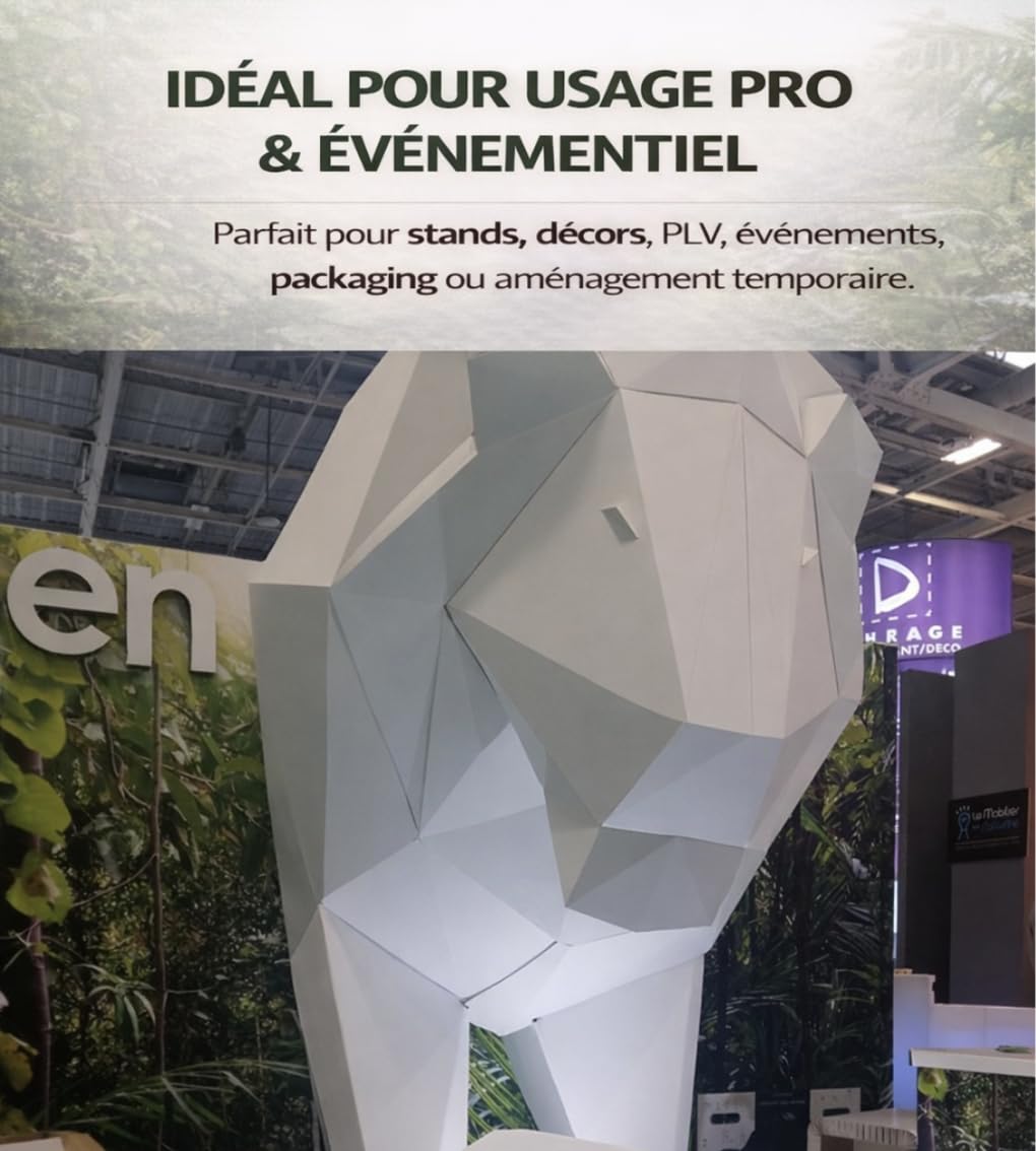 Bidon Ignifuge Anti-feu Carton M1 – Attestation M1 fournie - Pulvérisateur fourni et prêt à l’Emploi – 5 L = 22,5 m² de Carton ignifugé - Fabrication française.