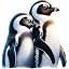 Penguin Love