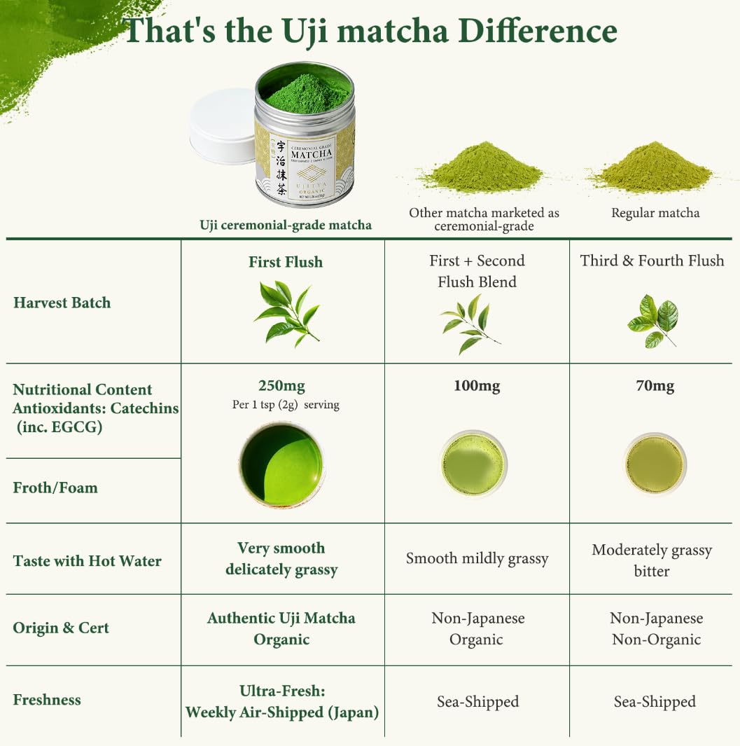 UJITYA Ceremonial Grade Matcha Powder AA 1 06oz Tin Japanese JAS Certified Organic Antioxidant Rich with Caffeine L-Theanine — view 5