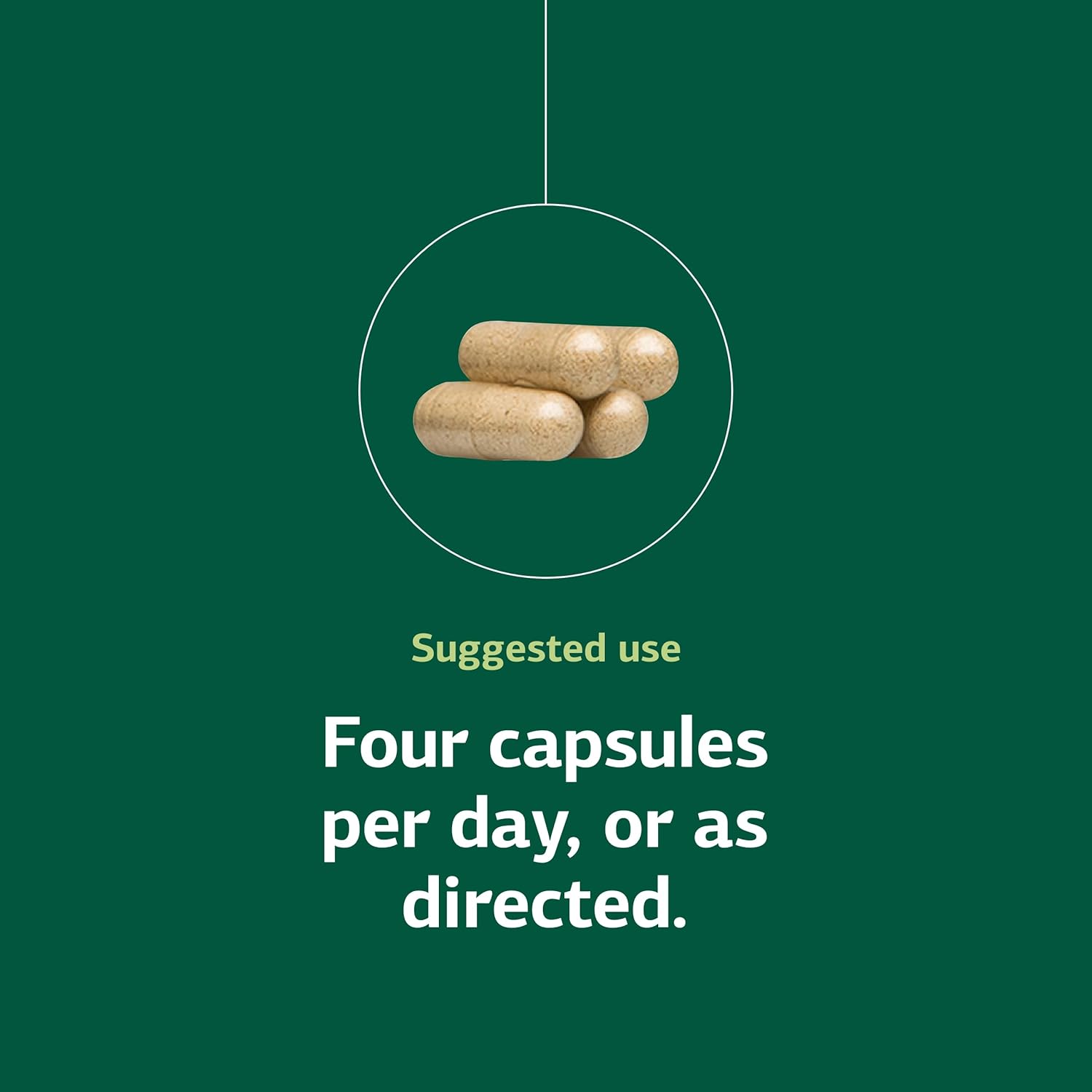 Standard Process Protefood - Protein Metabolism Support Supplement - Aids Bone & Immune Health - Whole Food-Based Supplement for Cellular Health Support - Includes Calcium & Vitamin C - 90 Capsules