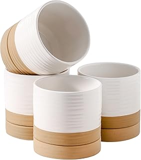 10 Halloween Planter Ideas for Seasonal Outdoor Decor 45 Hasense Small Plant Pot, 4.6 Inch Ceramic Succulent Flower Pots with Dra...