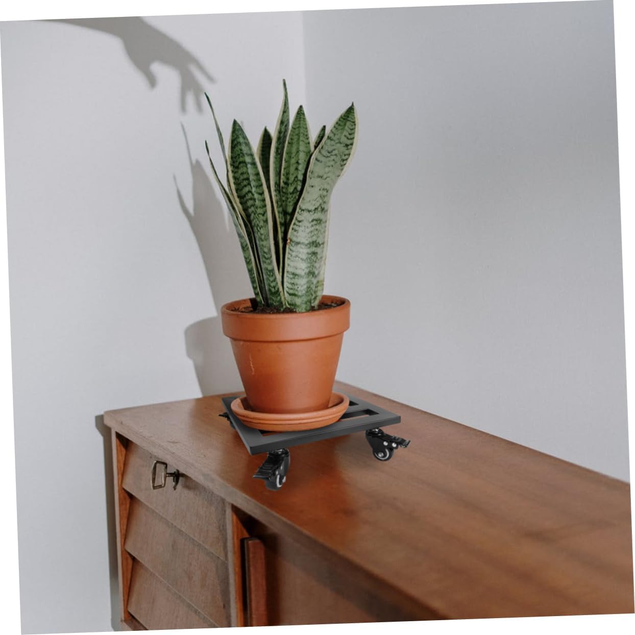 Square Flower Pot Tray with Wheels Plant Stand Appliance Dolly Rolling Plant Stand Heavy Duty Pot Holder