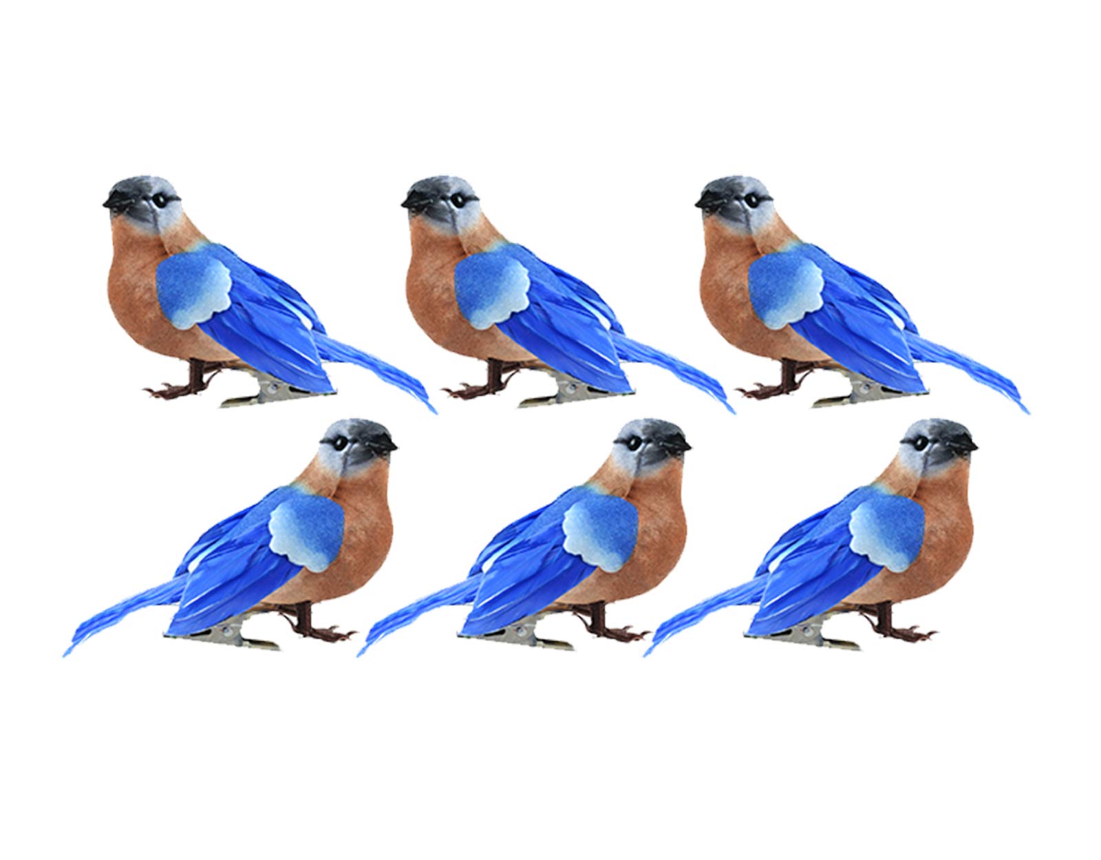 eastern bird supplies