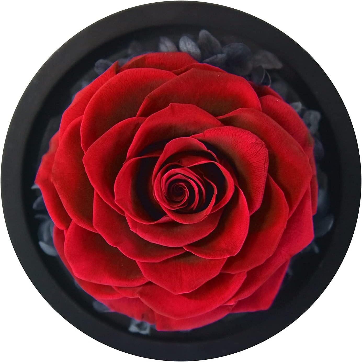 SW Forever Preserved Real Rose in Glass Dome - Eternal Heart Design, Rose Flower Birthday Gifts for Women, Valentine's Day, Mother's Day, Christmas, Anniversary - Unique Gift for Her, Wife, Mom - Image 5