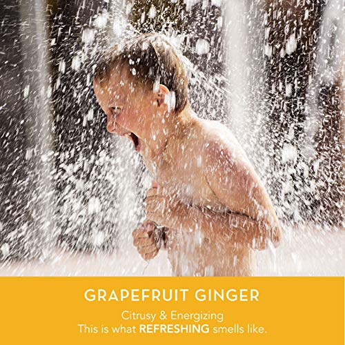 Natural Reed Diffuser Set by DANI Naturals - Fresh Grapefruit Ginger Fragrance - Aromatherapy Essentials Oils - Alcohol Free - 10 Diffuser Sticks - 3.5 Ounce Glass Bottle - Thumbnail 2