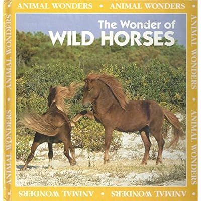 The Wonder of Wild Horses