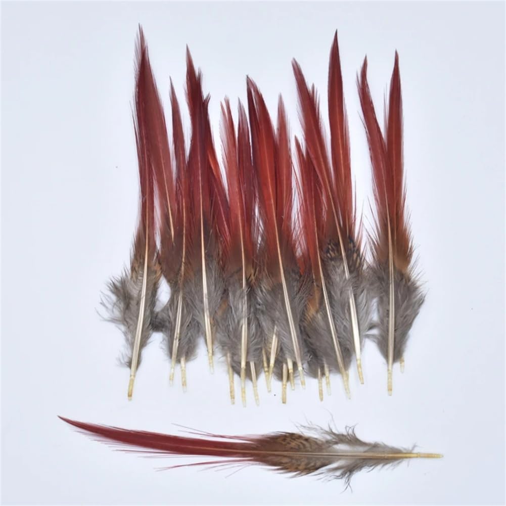 Naturalne pióra bażanta, Craft Pióra z ogona bażanta Multikolor 5-25cm 10-200 szt(10 Piece)