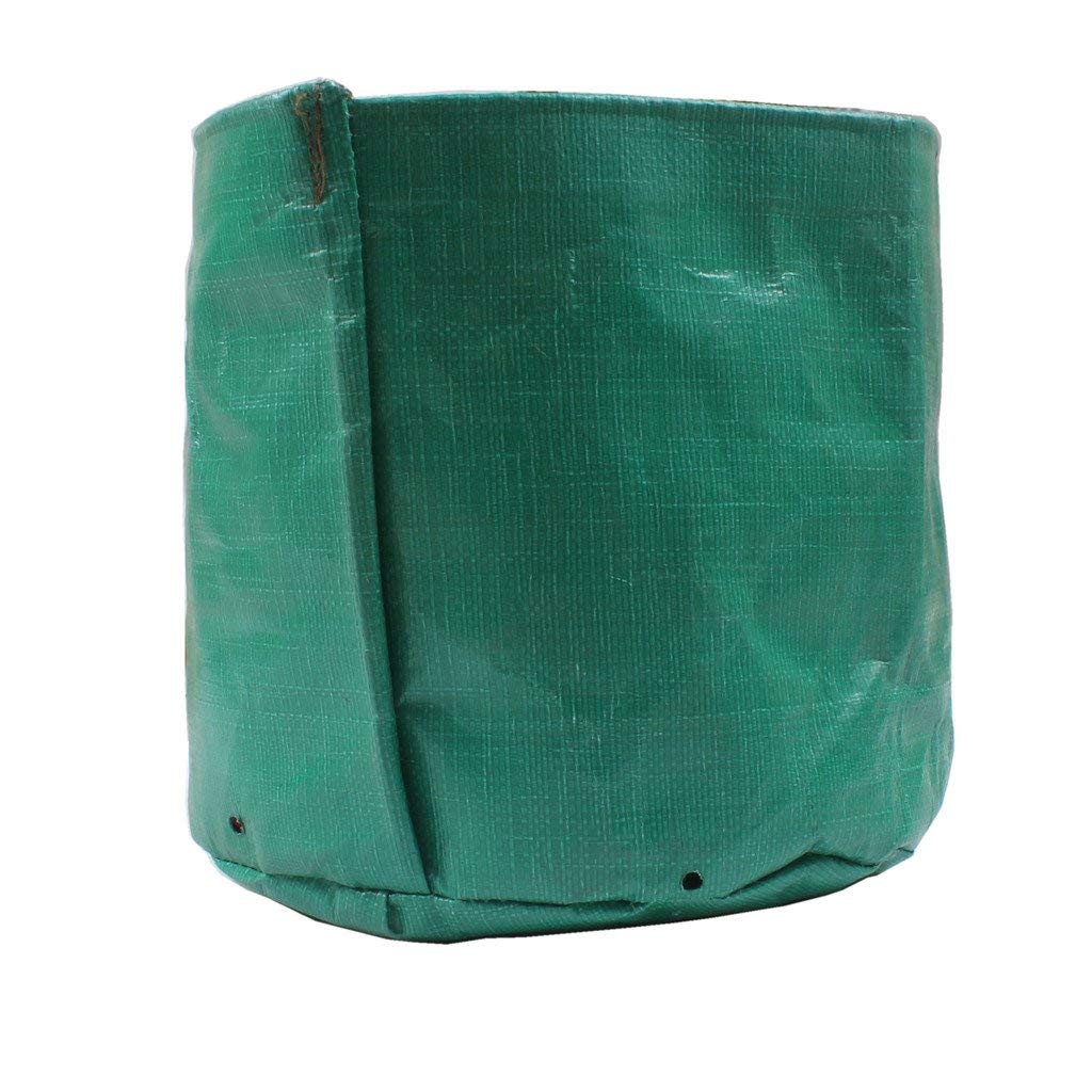 Bio Blooms Agro India Pvt. Ltd. 12X12Inch HDPE Plant Grow Bags for Terrace Gardening | Pack of 5| Dark Green Color| Outdoor Use| 340 GSM| 3