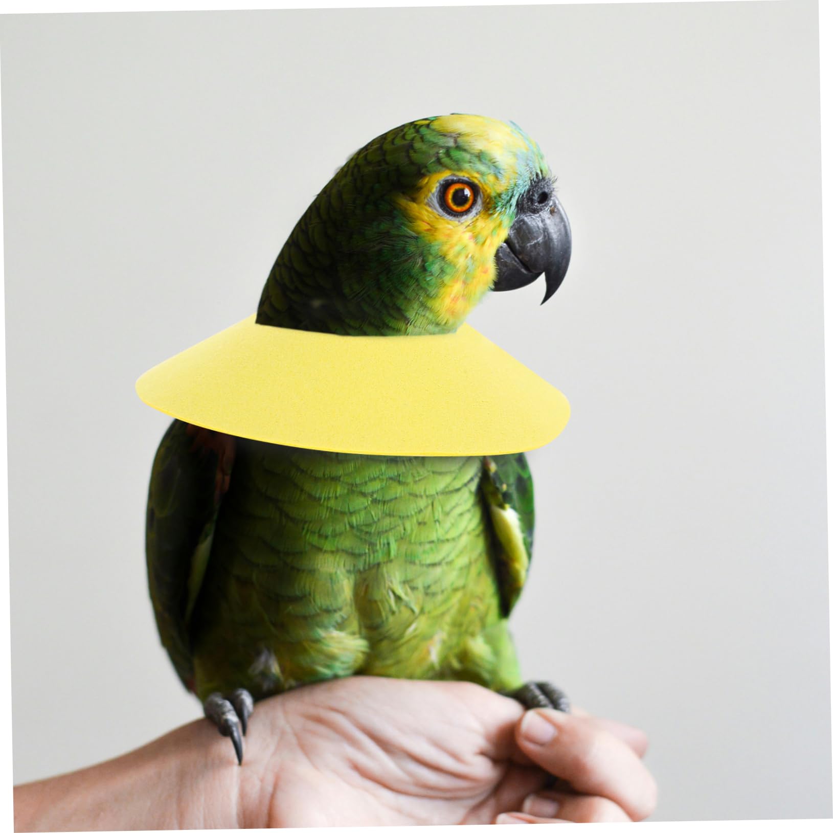 HANABASS Bird Parrot Cone Collar Bird Accessories for Parrot Biting Collar Yellow