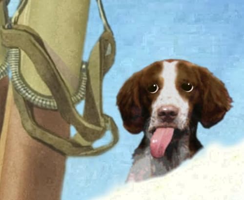 Miniatura 5 de Steamboat Springs Colorado Snow Ski Poster Bretaña Spaniel Pin Up Art Print 328 (tamaño 24 x 36 pulgadas)