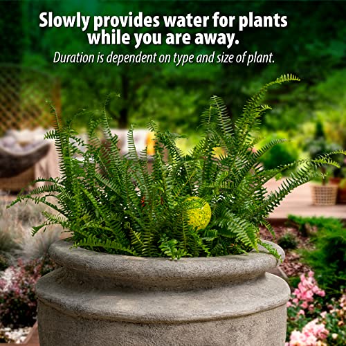 Besti Large Self Watering Globes for Plants Waters Greenery Up to 2 Weeks Hands Free | Durable, Multicolored Glass Craftsmanship | Indoor and Outdoor Use (Set of 4 Small)