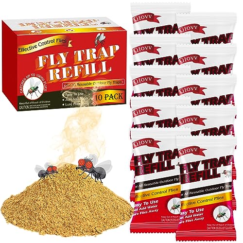 Top 10 Fly Bait Traps The Ultimate Buying Guide for a FlyFree Home