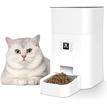 cat activity tunnel feeder