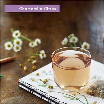 ◆ 瀬戸のカモミール Amazon | ゼスタ 20TBカモミールティ 1.5g×20 | ゼスタ | ハーブ
