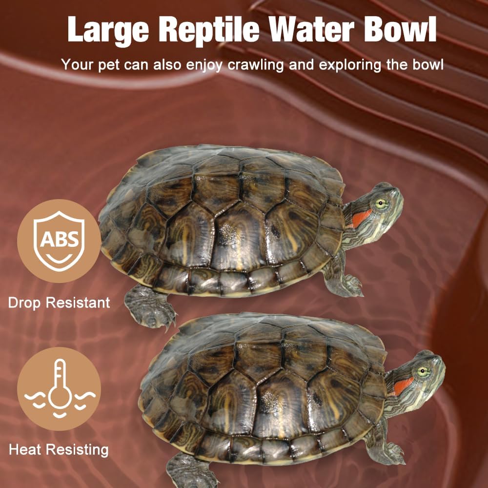Bassin pour Reptiles, Bol d'Eau pour Tortue, Bol d'Eau et Nourriture pour Reptiles, Bassin de Bain pour Reptiles
