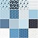 Christopher Thompson Blue Blooms and Threads 42 5-inch Squares Charm Pack Riley Blake 5-17120-42
