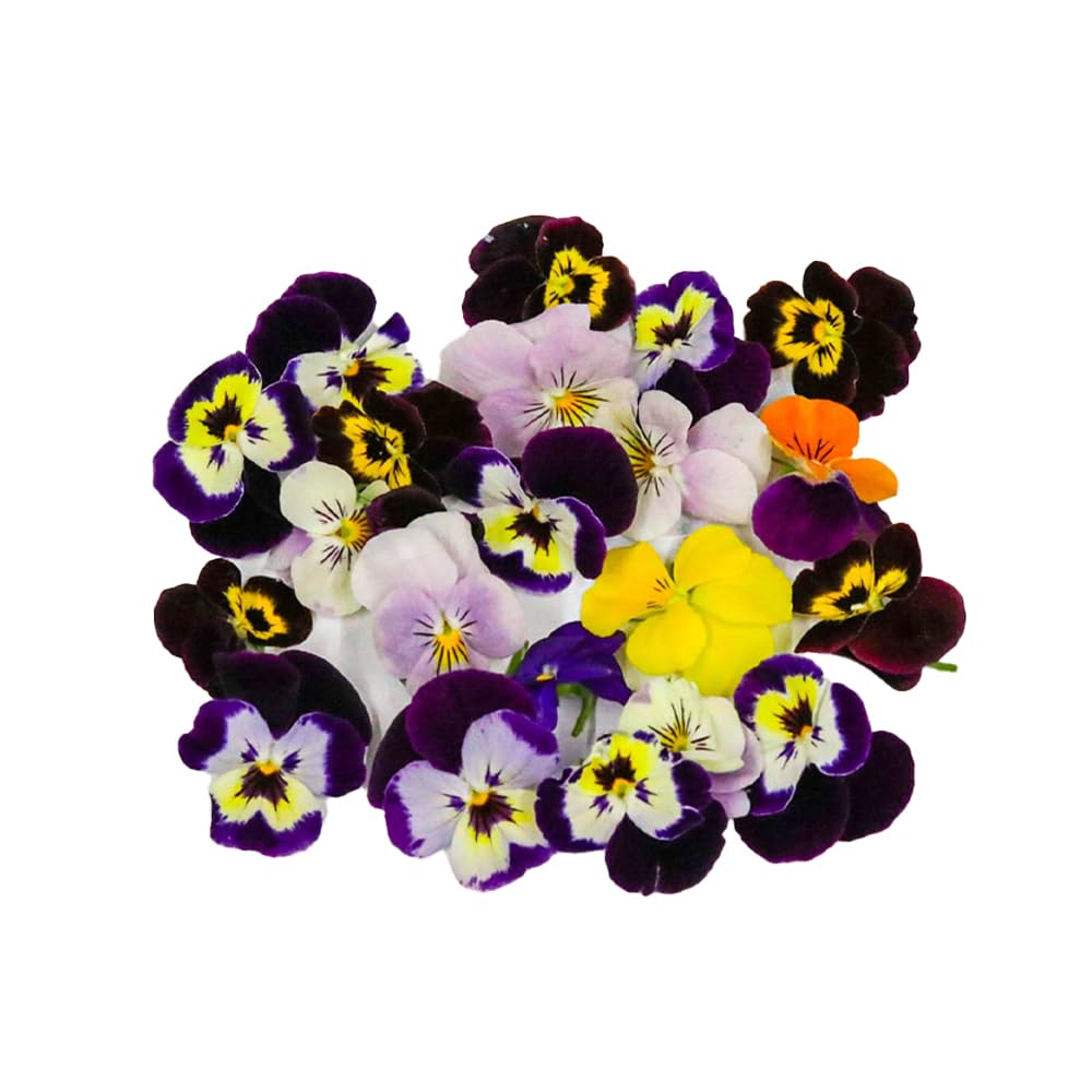 Fine Food Specialist Viola Flowers, Edible, 1 x Punnet