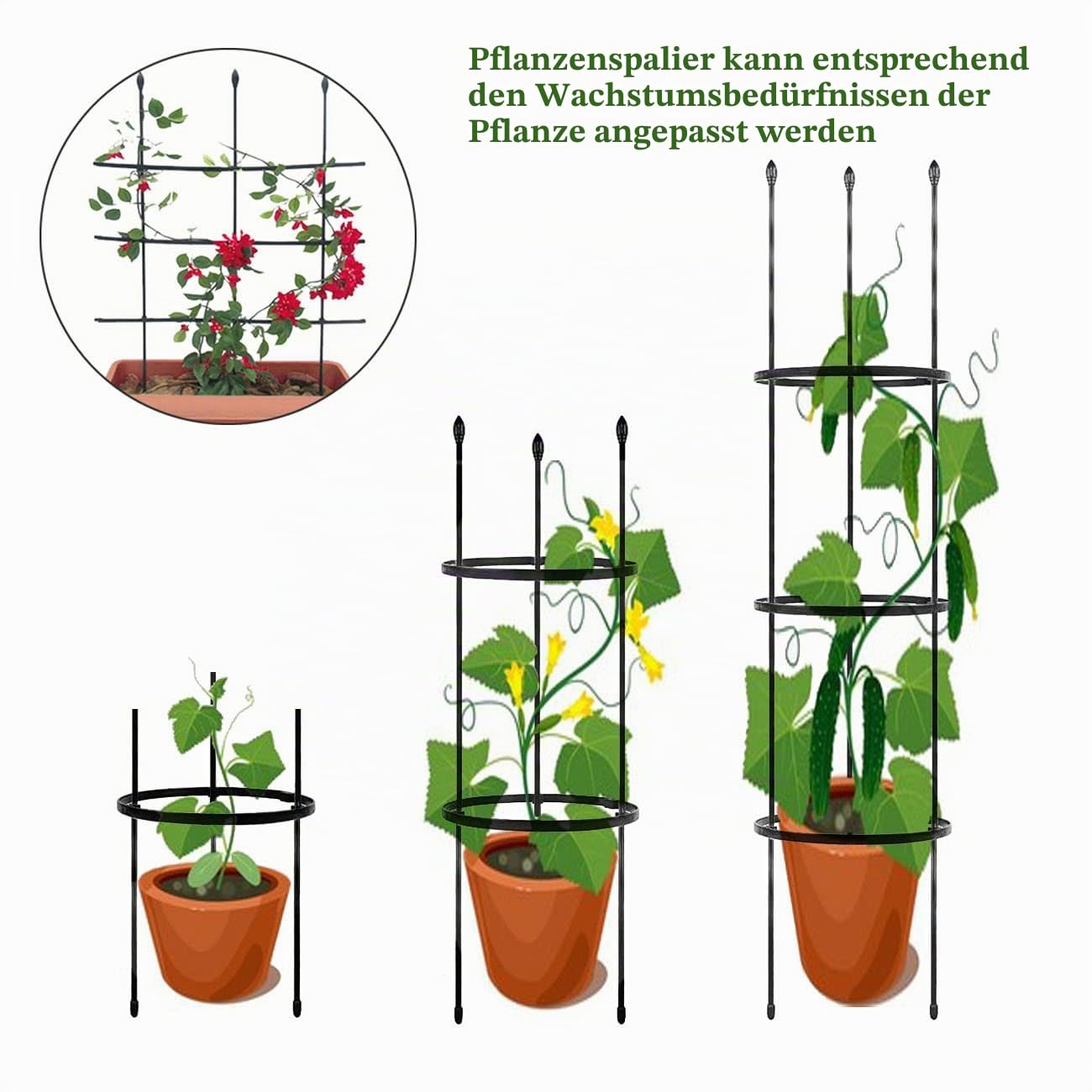 2 Stück Rankhilfe Garten, 2-in-1 Rankgitter für Kletterpflanzen, 120CM Tomatenkäfige, Pflanzen Stützen für Ranken, Rankgitter Garten, Pflanzenstecker für Kletterpflanzen, Drinnen und Draußen