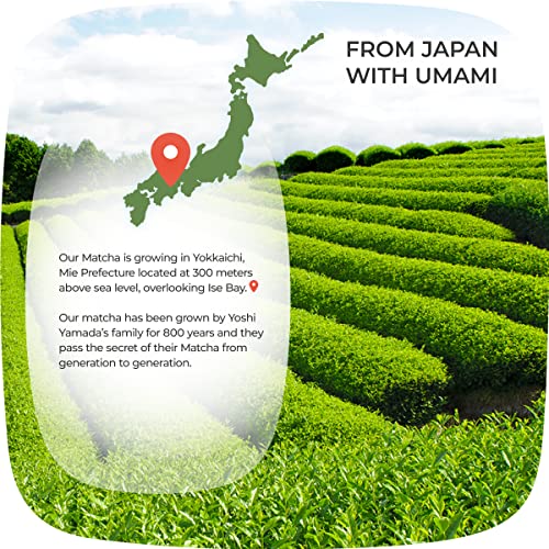 Polvo de té matcha japonés 30 g con set completo miniatura 4