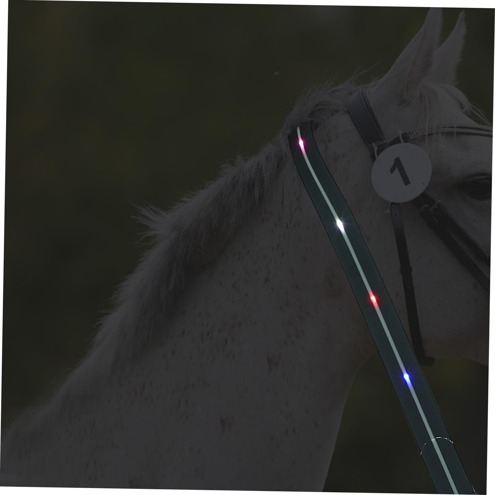Cuerda de Tracción Ajustable para Caballo LED Recargable Negro | Pu, Carcasa Abs Smd y Aleación de Aluminio, Diseño, Accesorio para Aficionado Ecuestre Estilo Aleatorio