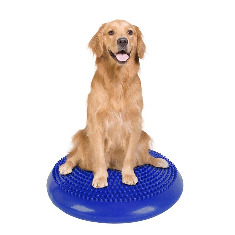 Disco de Equilíbrio para Cães Anicuta em PVC com Bomba, Azul, 35,5 cm