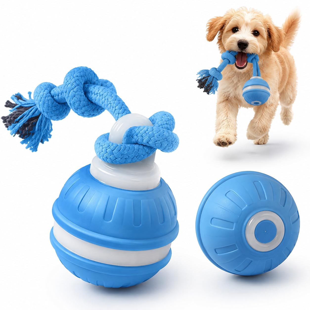 Buuraqq 2Pcs Blue Interactive Dog Play Set, Bouncing Ball for Active Pets