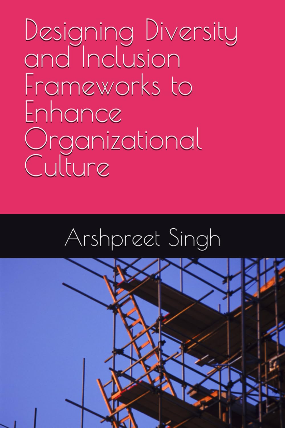 Designing Diversity and Inclusion Frameworks to Enhance Organizational Culture