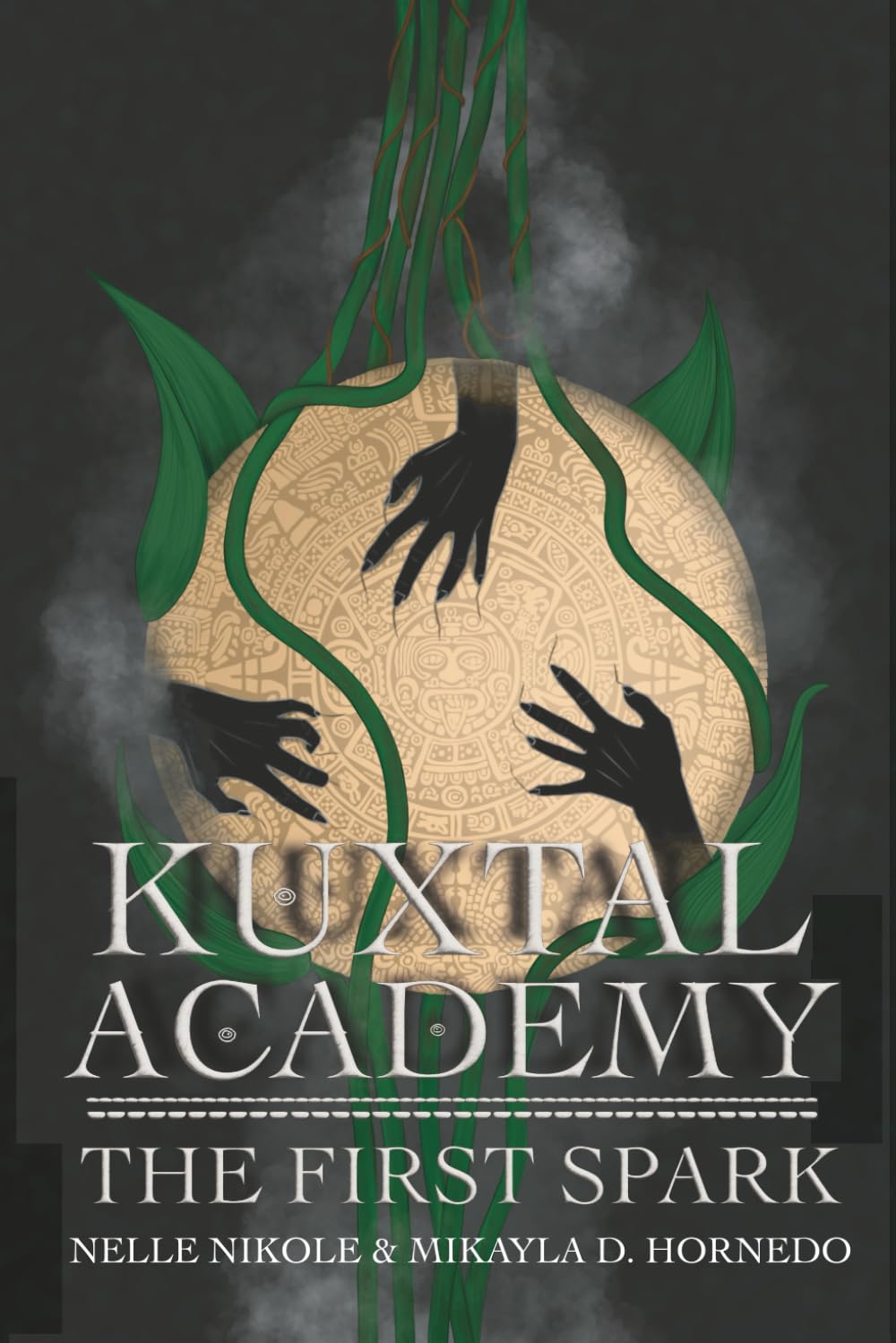 Kuxtal Academy: The First Spark