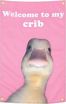 Shimmeroo Welcome to My Crib Flag for Bedroom Wall, 2x3 Feet | Funny Art Duck Flag Tapestry for College Dorm Room,Festivals Outdoor Activities,Bedroom Decor Wall Hanging - Pink