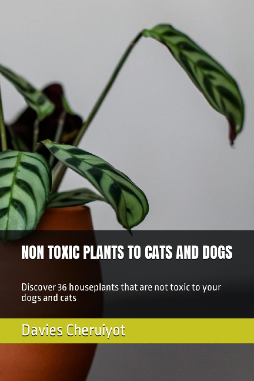 NON TOXIC PLANTS TO CATS AND DOGS: Discover 36 houseplants that are not toxic to your dogs and cats
