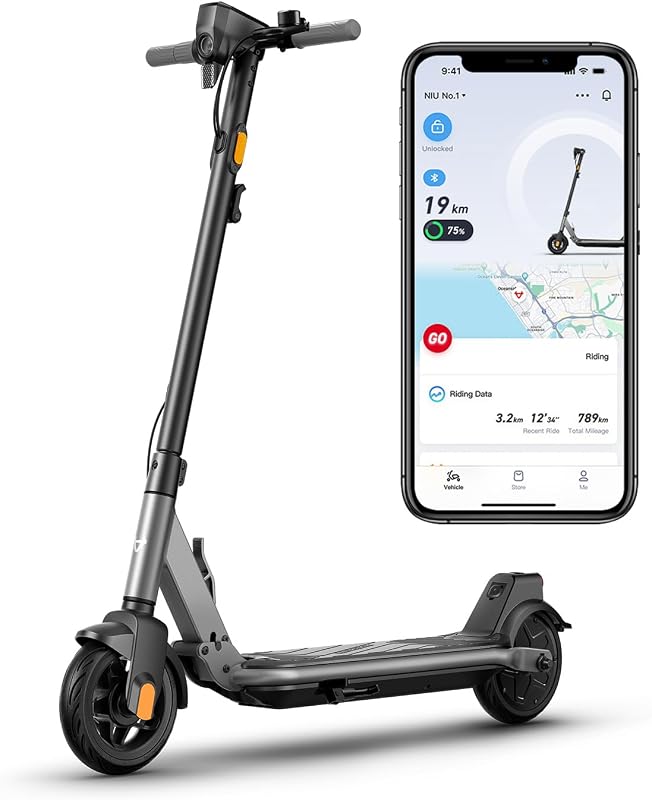 NIU KQi 100P