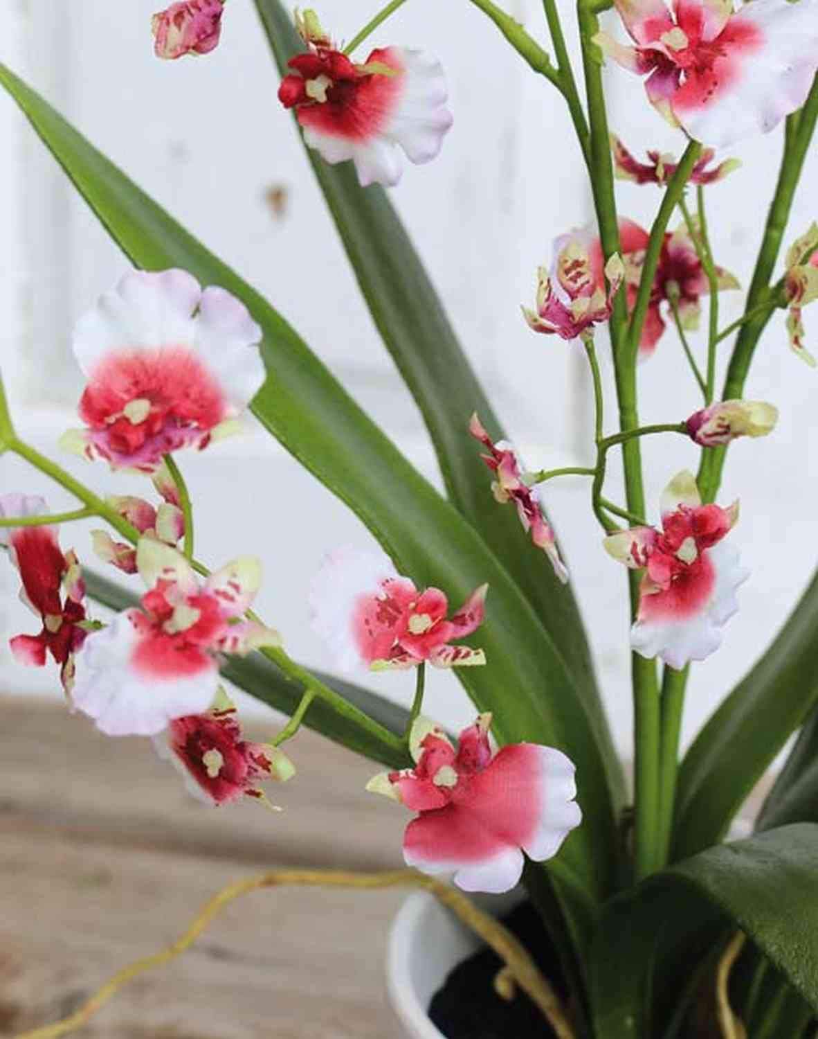 artplants.de Orchidée Oncidium Artificielle YOSEPHIN en Pot, 75cm