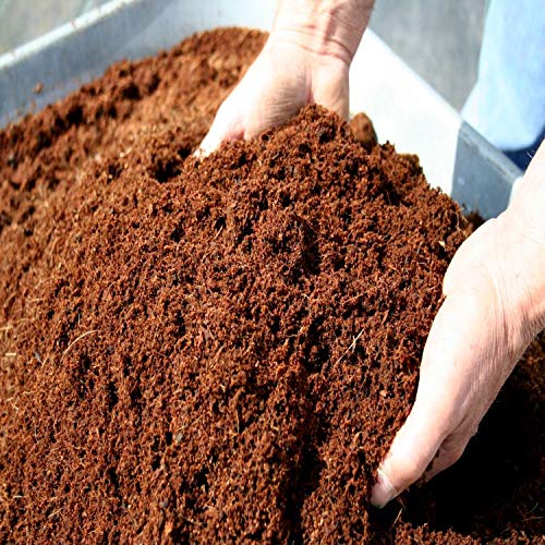 Image of SAPRETAILER Cocopeat Block 5Kg - Expands to 75 litres of Coco Peat Powder