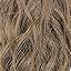 Dark Ash Blonde with Highlights