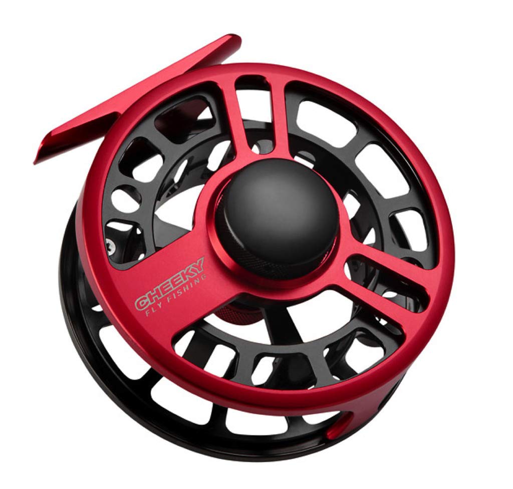 2 daiwa d-shock spinning combos Daiwa D-Shock II With Braided Line Spinning Combo 1BB Reel CHOOSE YOUR  MODEL!