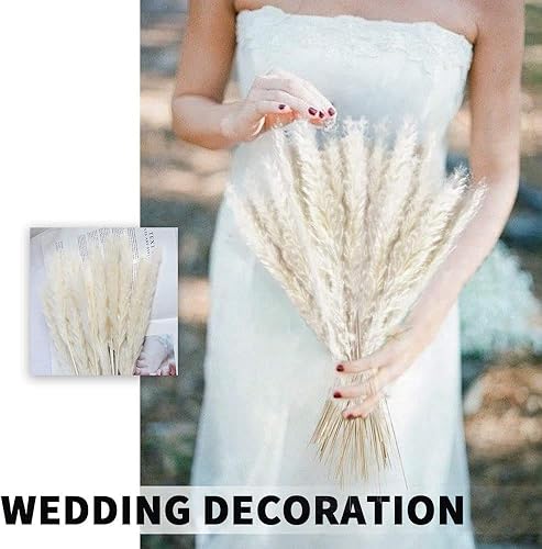 Miniatura 3 de 28 unidades de flores secas naturales de 17 pulgadas de alto, arreglos de flores secas artificiales de caña sintética para boda, jarrón de boda,