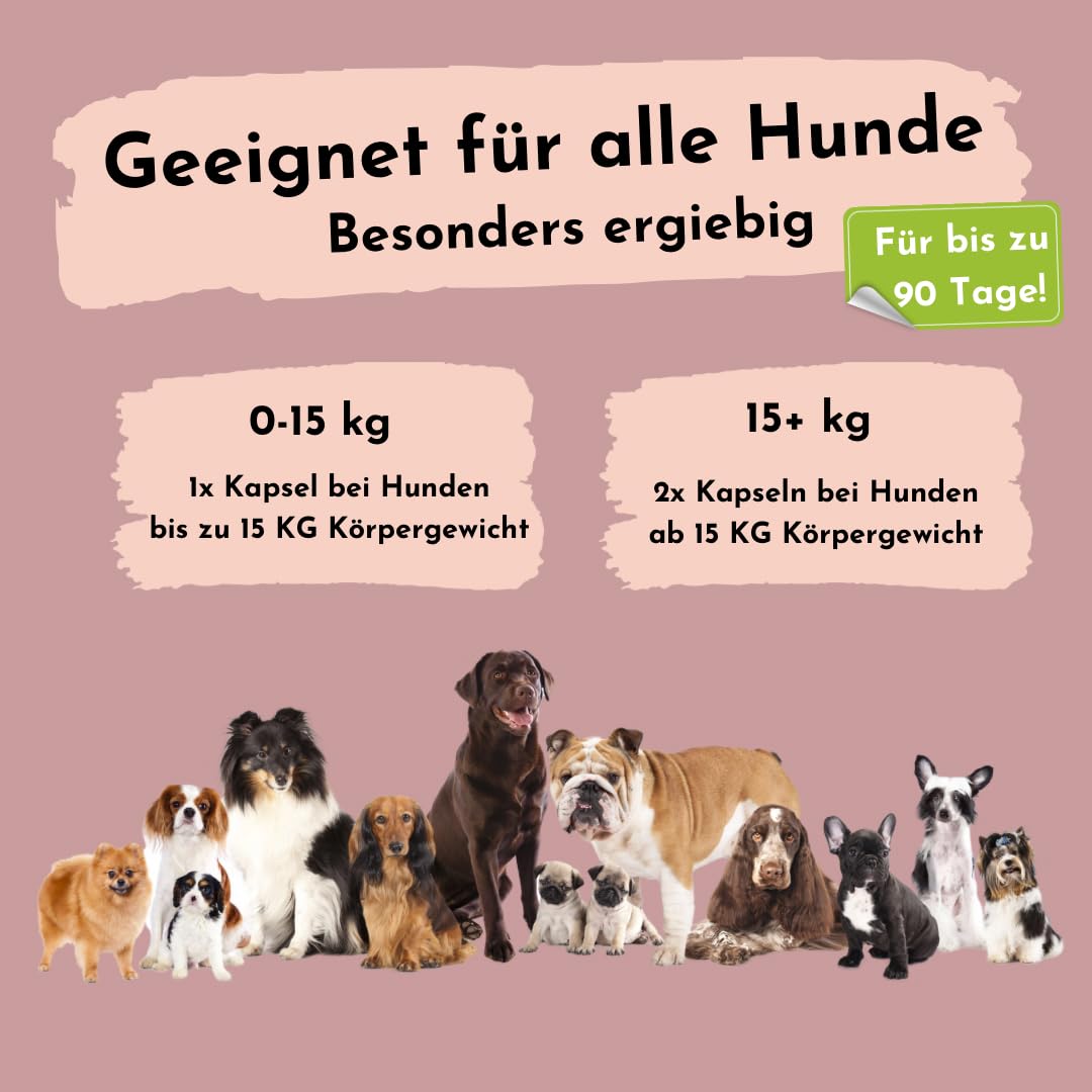 L-Glutamin für Hunde - 2X 90 Kapseln für bis zu 6 Monate - Aminosäuren wie Glutamin können dabei unterstützen, das Immunsystem zu stärken, ohne unerwünschte Zusätze, Aromen oder Farbstoffe