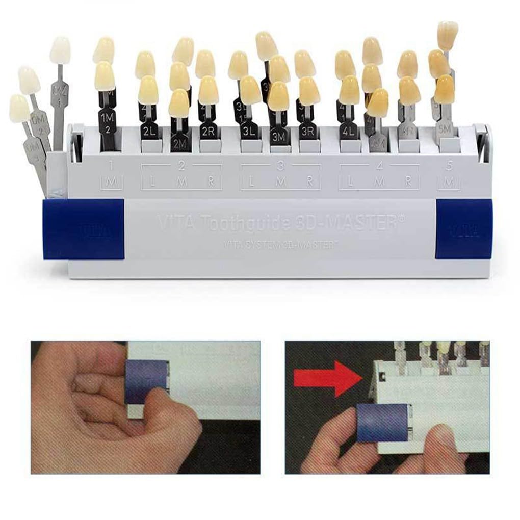 29 Couleurs Guide Teinte de Blanchiment des Dents Comparant le Modèle