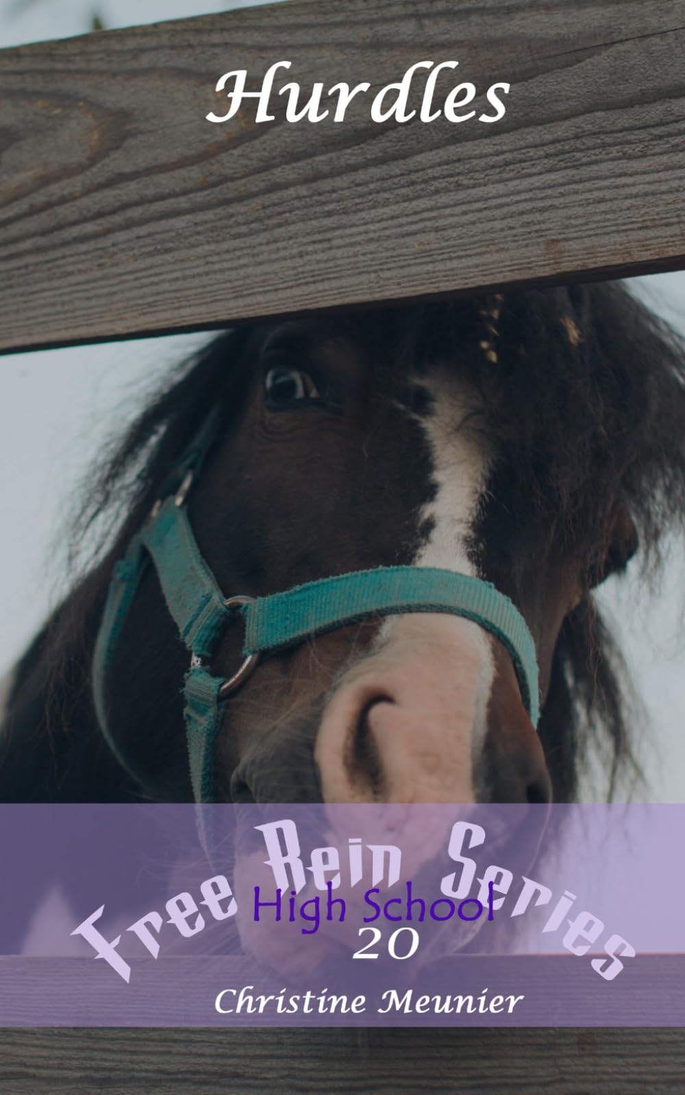 Hurdles (Free Rein Series)