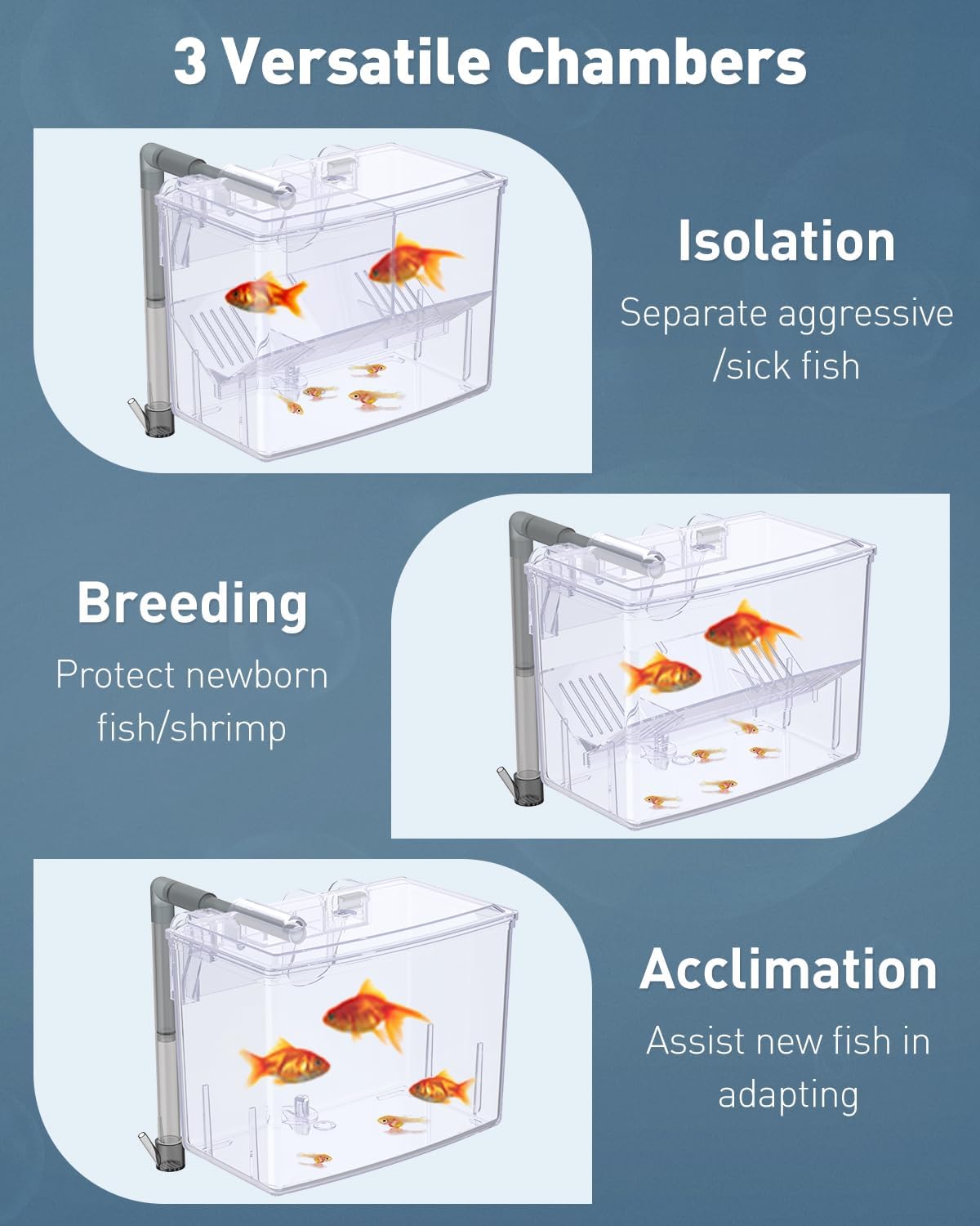 Pawfly Incubadora de Peces acrílico, criadero para alevines, camarones, Betta, pez Payaso, Caja de Aislamiento para Peces