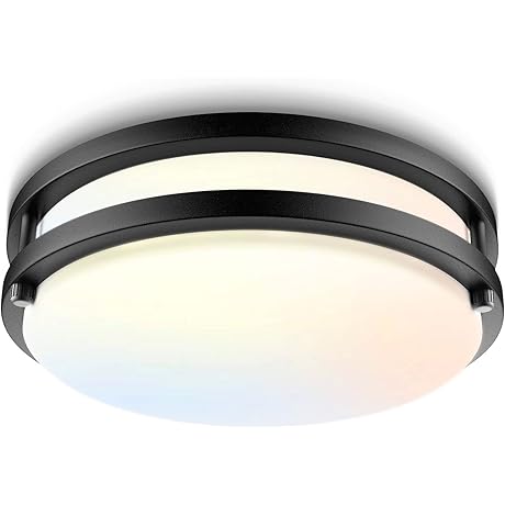 Bilrect Flush Mount Dimmable Light Ficture