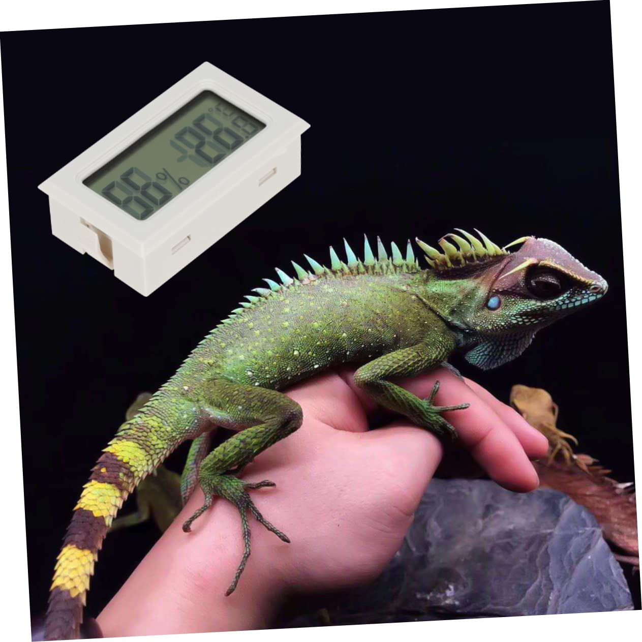 POPETPOP 15pezzi Mini Igrometro LCD per Monitoraggio umidità e Ed Misurazioni Accurate per Terrari Refrigeratori e Spazi Ridotti Aggiornamento Secondi
