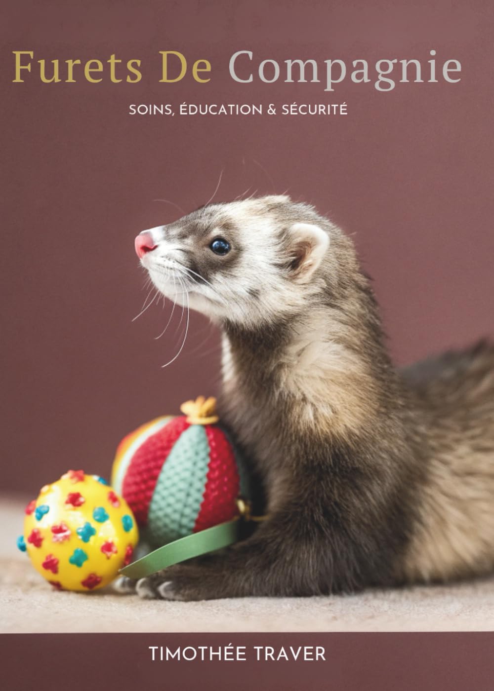 Furets De Compagnie: Soins, Éducation & Sécurité