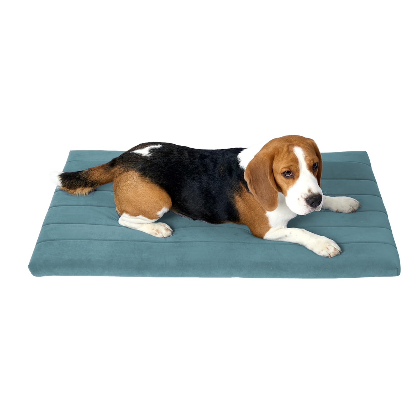 BALANCE Dog Crate Bed, Orthopedic Dog Bed Pad with Waterproof Liner, Washable Crate Foam Pet Mat for Large, Medium, Puppy Dogs Breeds, Powder Blue, 36"x23"x1.6"