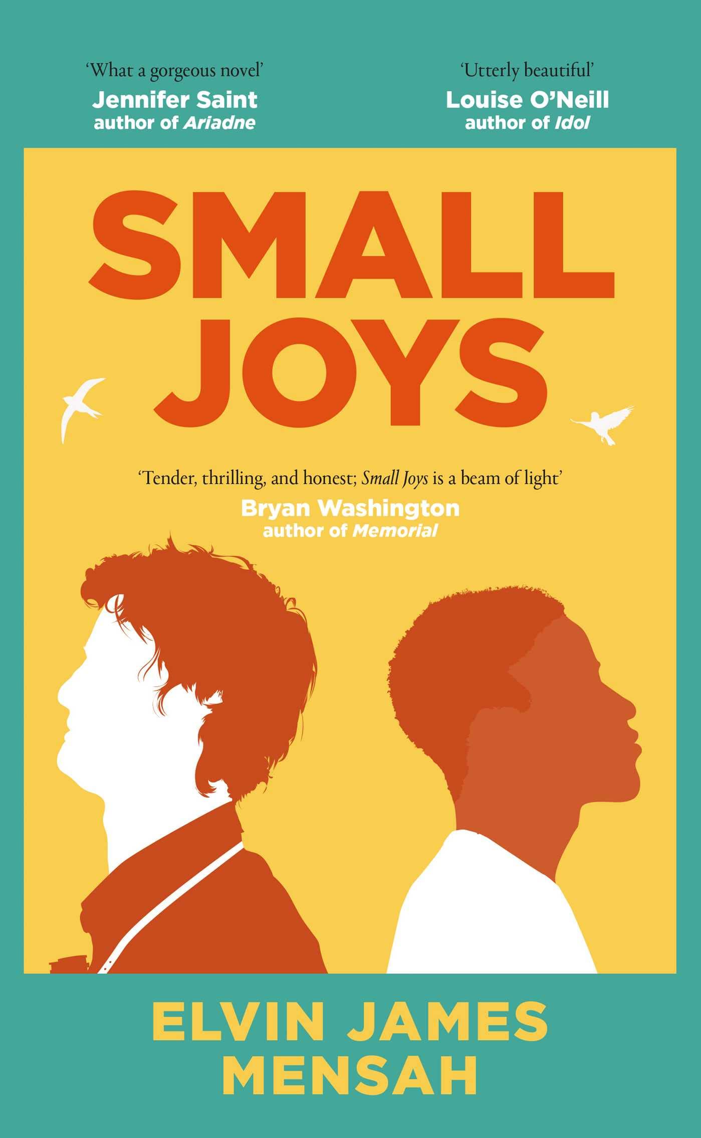 Elvin James Mensah - Small Joys - Hardback Book