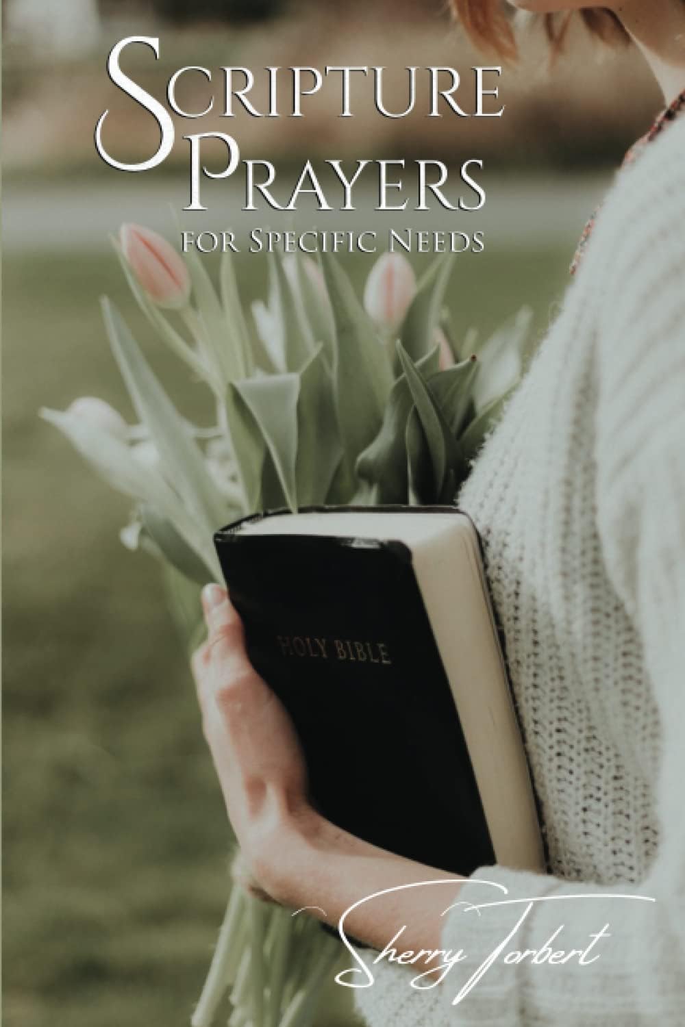 Scripture Prayers for Specific Needs