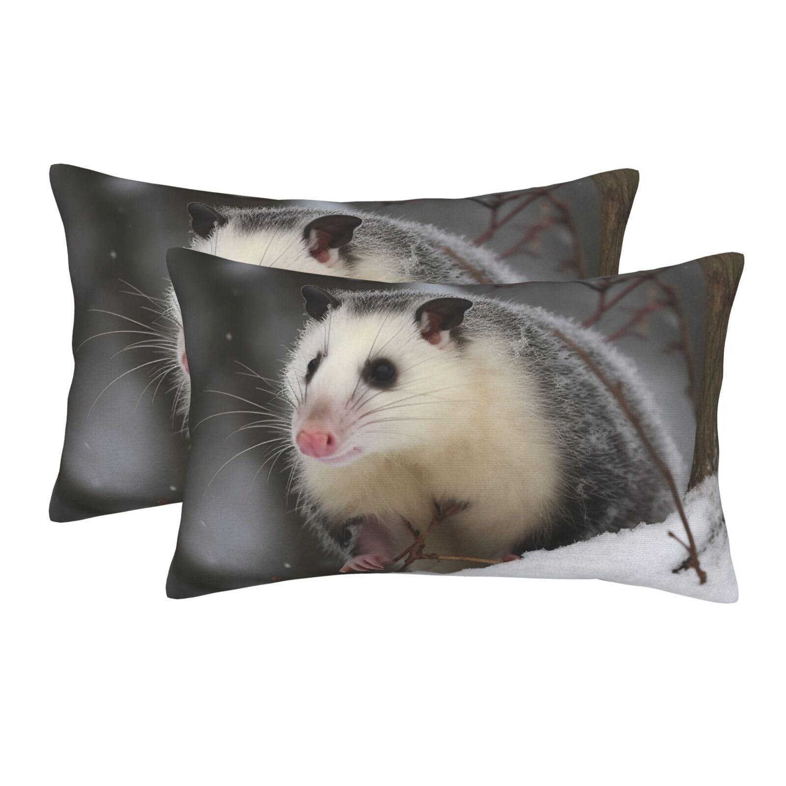 2 Pack Pillow Cases with Hidden Zipper, Soft Breathable Pillow Covers for Hair and Skin, Opossum in Snow Pillowcases 20"x30" Bed Pillow Protectors Cover for Sleeping Gifts
